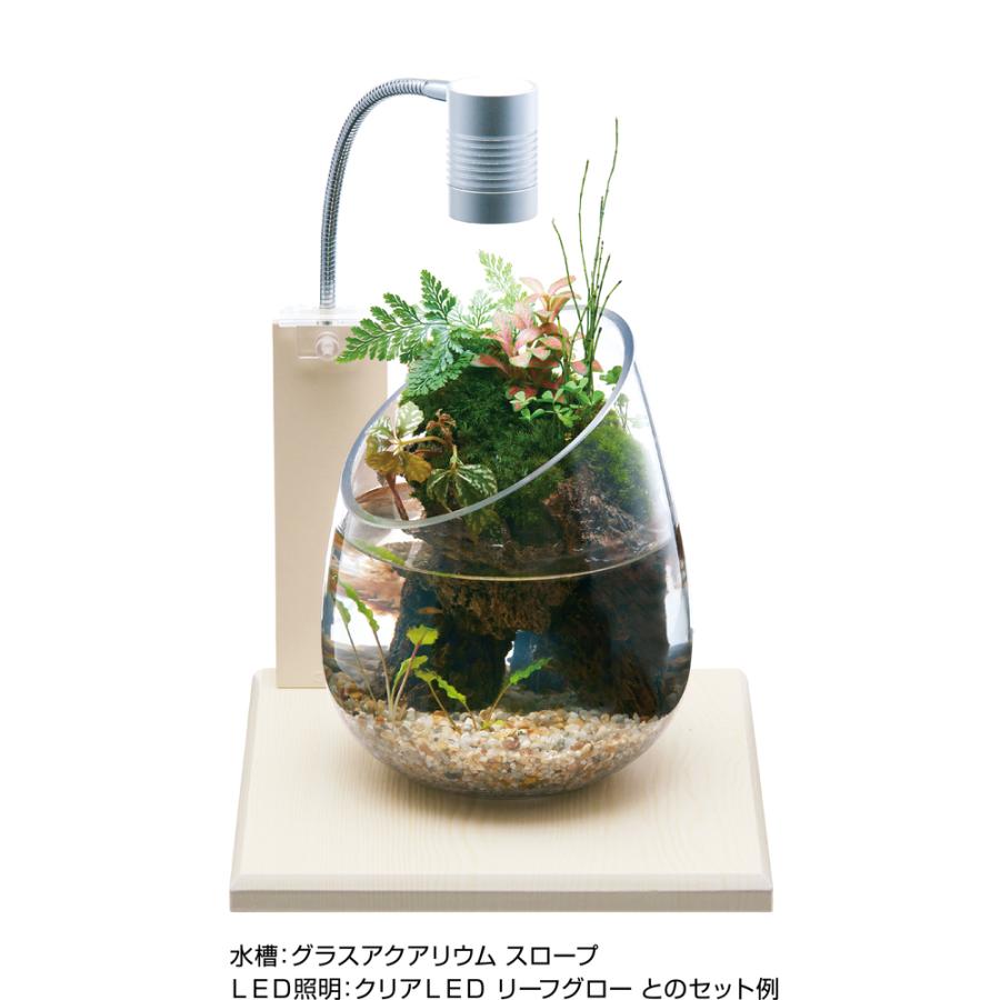 GEX(ジェックス) グラスベース ホワイトアッシュ200 / 税込11,000円以上で送料無料(北海道、沖縄、一部地方除く) :4972547040022-5112754ay:アイム - 通販 - Yahoo!ショッピング GEX(ジェックス) グラスベース ホワイトアッシュ200 / 税込11,000円以上で送料無料(北海道、沖縄、一部地方除く) :4972547040022-5112754ay:アイム - 通販 - Yahoo!ショッピング