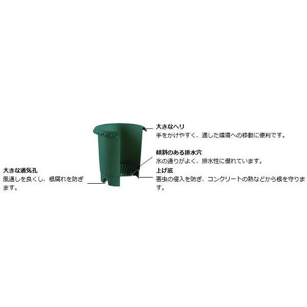 即納最大半額リッチェル バラ鉢 10号 ブルー 税込11,000円以上で送料無料(北海道、沖縄、一部地方除く) 鉢、プランターカバー リッチェル バラ鉢 6号 ブルー 5個組