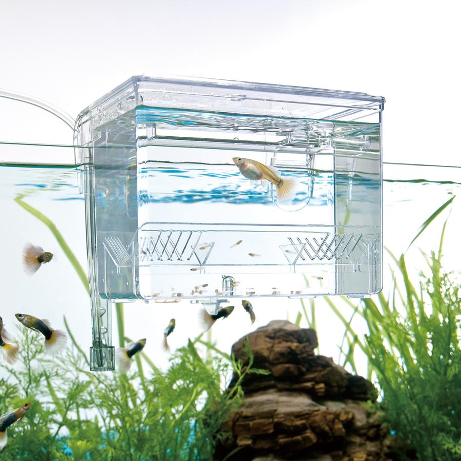 スドー サテライト S 50 税込11 000円以上で送料無料 北海道 沖縄 一部地方除く アイム 通販 Yahoo ショッピング