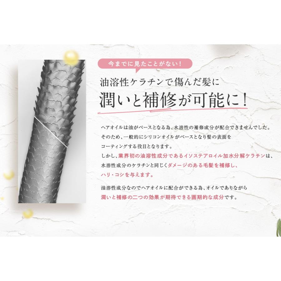 定形外郵便 送料無料 アイナボーテ PPTヘアオイル ノンシリコン 油溶性ケラチン コラーゲン配合 ヘアーオイル | aina beaute | 04