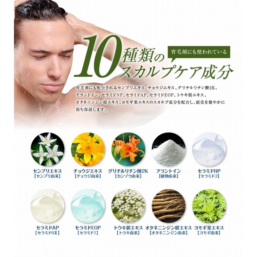 送料無料 2本セット アイナボーテPPTスカルプローション5.5 | aina beaute | 12