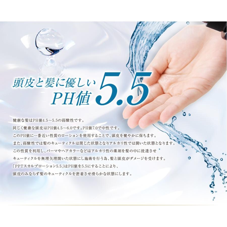 送料無料 2本セット アイナボーテPPTスカルプローション5.5 | aina beaute | 05