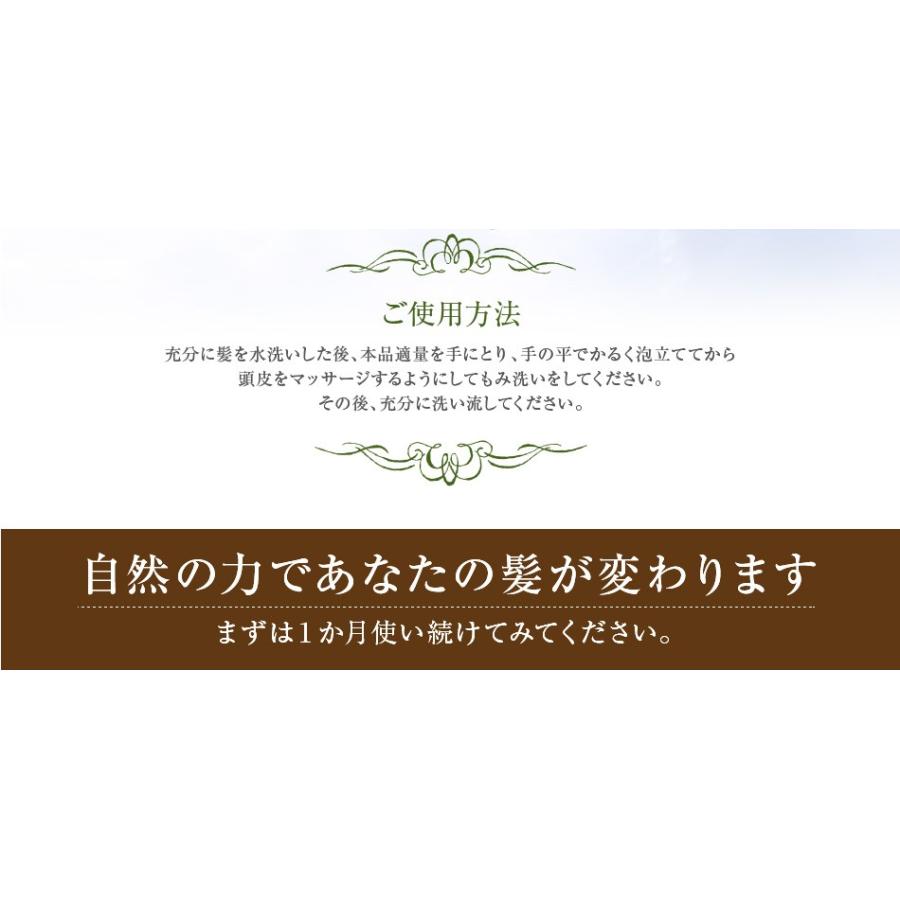 送料無料 トリートメント不要 アイナボーテPPTコラーゲン＆シルクシャンプー400ml キャピキシル配合 スカルプシャンプーノンシリコン | aina beaute | 20