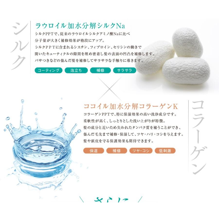 aina beaute 送料無料 トリートメント不要 アイナボーテPPTコラーゲン