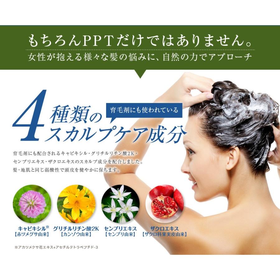 aina beaute 送料無料 2本セット トリートメント不要 アイナボーテPPT