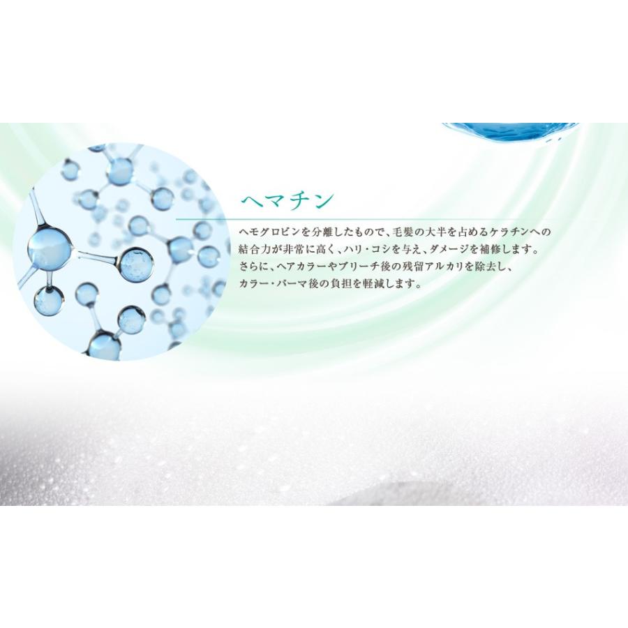 送料無料 3本セット トリートメント不要 アイナボーテPPTコラーゲン＆シルクシャンプー400ml キャピキシル配合スカルプシャンプーノンシリコン | aina beaute | 11