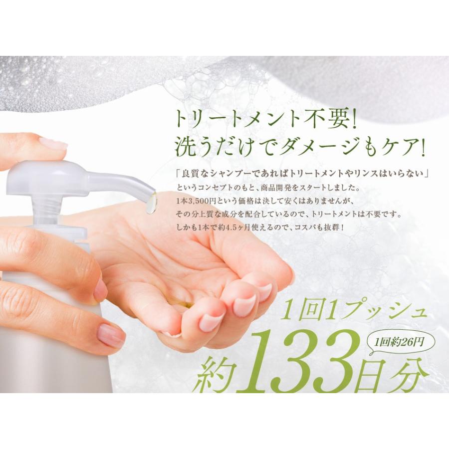 送料無料 3本セット トリートメント不要 アイナボーテPPTコラーゲン＆シルクシャンプー400ml キャピキシル配合スカルプシャンプーノンシリコン | aina beaute | 12