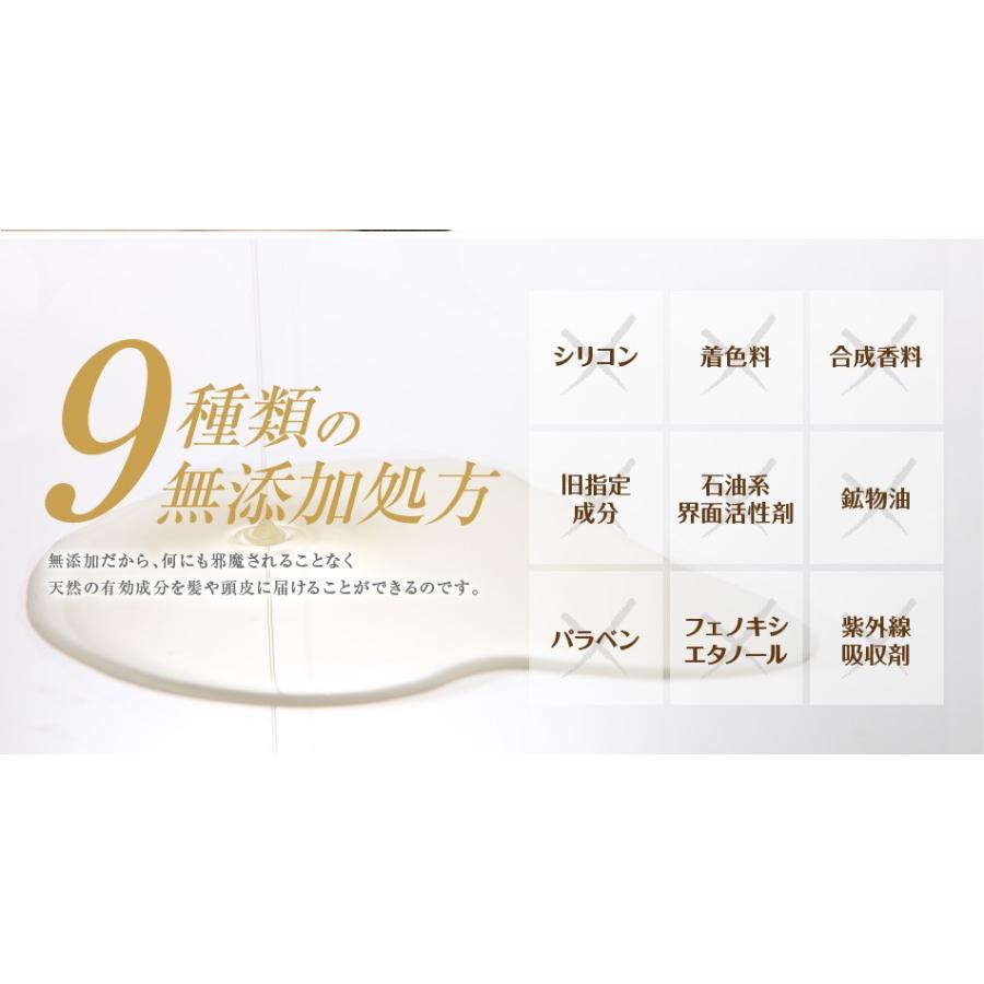 送料無料 3本セット トリートメント不要 アイナボーテPPTコラーゲン＆シルクシャンプー400ml キャピキシル配合スカルプシャンプーノンシリコン | aina beaute | 17