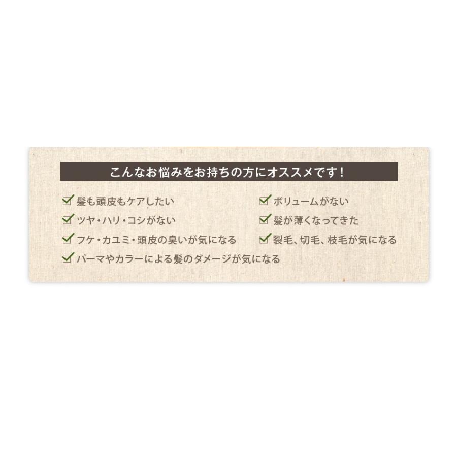 送料無料 3本セット トリートメント不要 アイナボーテPPTコラーゲン＆シルクシャンプー400ml キャピキシル配合スカルプシャンプーノンシリコン | aina beaute | 19