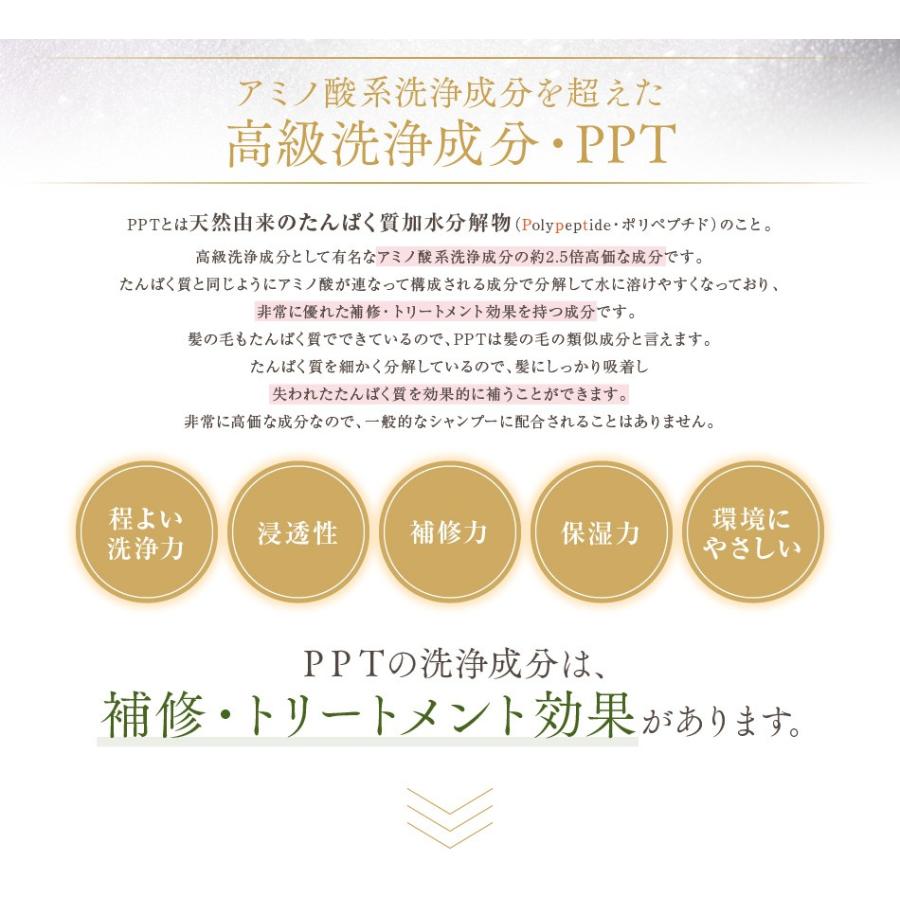 送料無料 3本セット トリートメント不要 アイナボーテPPTコラーゲン＆シルクシャンプー400ml キャピキシル配合スカルプシャンプーノンシリコン｜ainastyle｜09