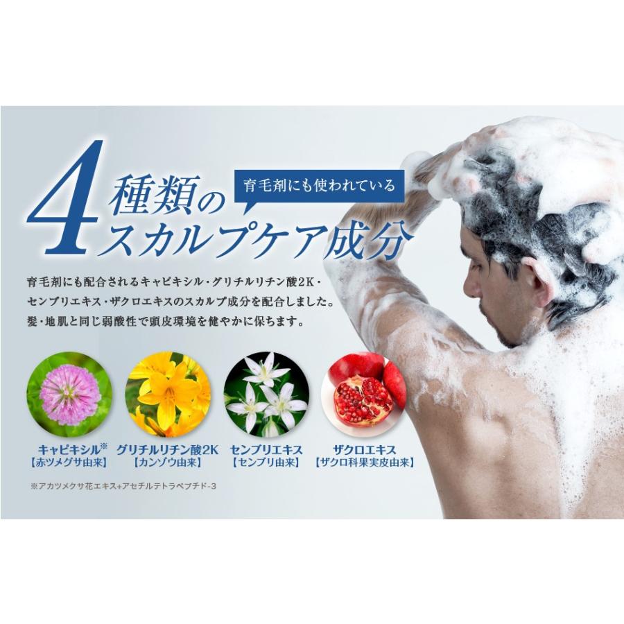 送料無料 3本セット トリートメント不要 アイナボーテPPTコラーゲン＆シルクシャンプー400ml 脂性肌用(男性) キャピキシル配合 ノンシリコン | aina beaute | 13