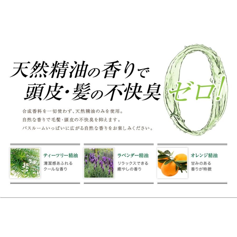 送料無料 3本セット トリートメント不要 アイナボーテPPTコラーゲン＆シルクシャンプー400ml 脂性肌用(男性) キャピキシル配合 ノンシリコン | aina beaute | 16