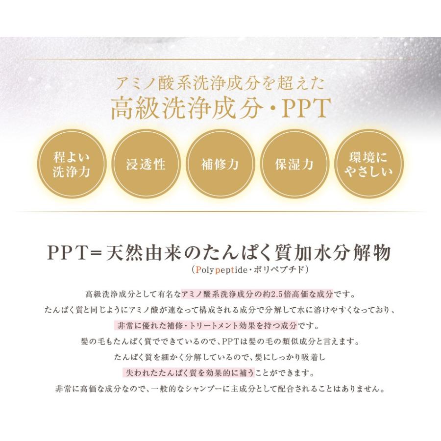 送料無料 3本セット トリートメント不要 アイナボーテPPTコラーゲン＆シルクシャンプー400ml 脂性肌用(男性) キャピキシル配合 ノンシリコン | aina beaute | 07