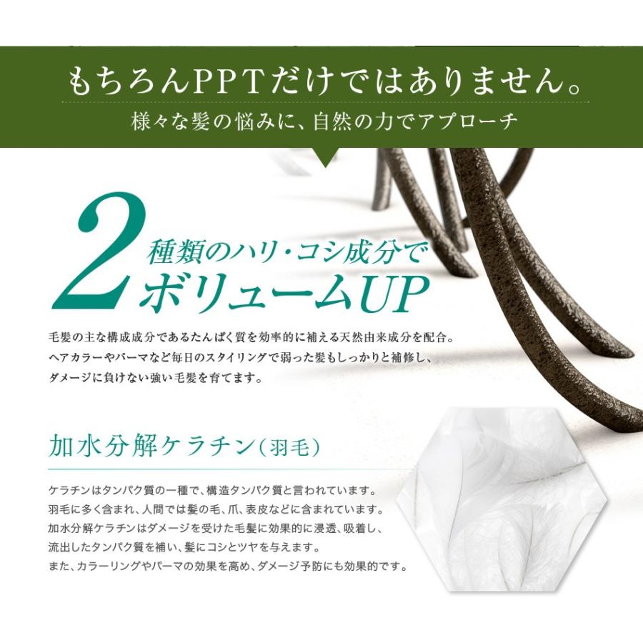 送料無料 5本セット トリートメント不要 アイナボーテPPTコラーゲン＆シルクシャンプー400ml 脂性肌用(男性) キャピキシル配合 ノンシリコン | aina beaute | 11