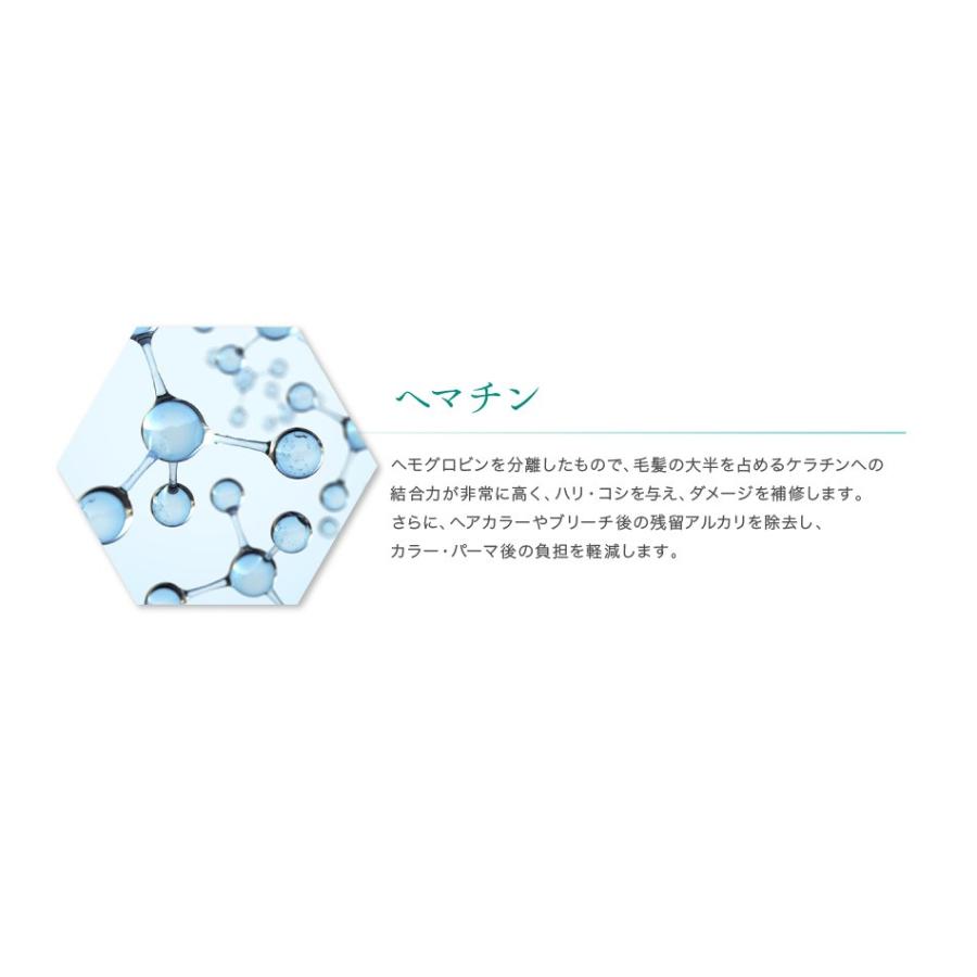 送料無料 5本セット トリートメント不要 アイナボーテPPTコラーゲン＆シルクシャンプー400ml 脂性肌用(男性) キャピキシル配合 ノンシリコン | aina beaute | 12