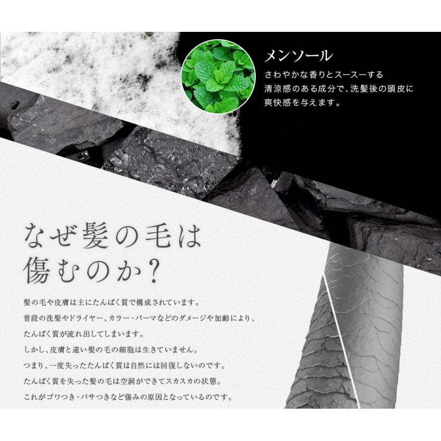 送料無料 5本セット トリートメント不要 アイナボーテPPTコラーゲン＆シルクシャンプー400ml 脂性肌用(男性) キャピキシル配合 ノンシリコン | aina beaute | 04