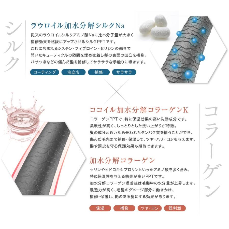 送料無料 5本セット トリートメント不要 アイナボーテPPTコラーゲン＆シルクシャンプー400ml 脂性肌用(男性) キャピキシル配合 ノンシリコン | aina beaute | 08