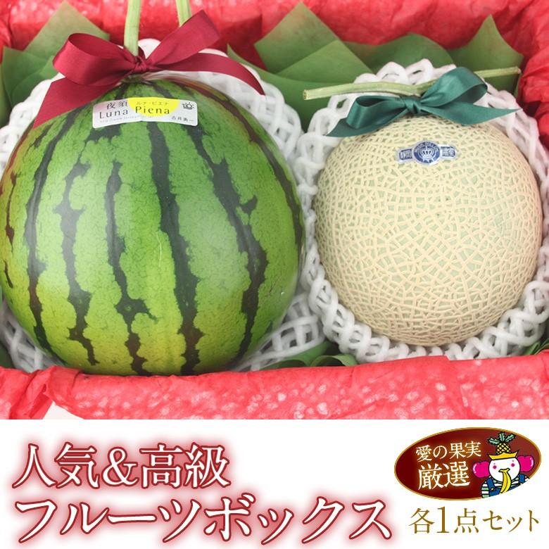 【指定不可｜入荷次第発送】フルーツ ギフト スイカ メロン くだもの 果物 お歳暮【人気＆高級 フルーツ ボックス(ルナ・ピエナ 静岡産 クラウン マスクメロン】 | 