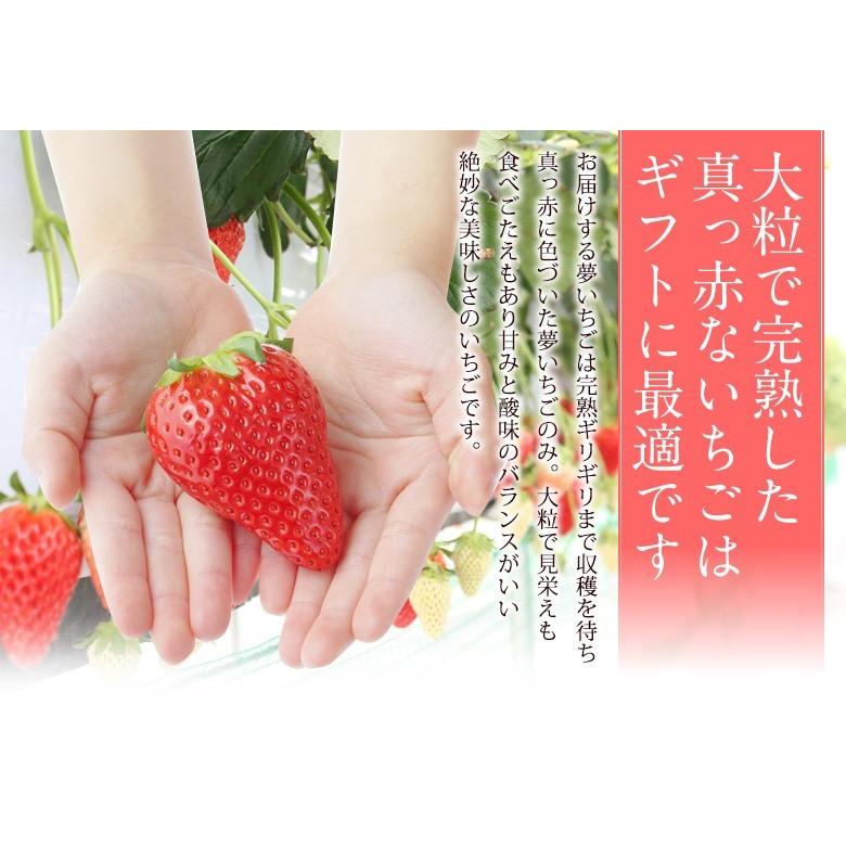 【大粒】【夢いちご(品種：ゆめのか)25粒】イチゴ 苺 果物 くだもの フルーツ 母の日 父の日 お盆｜aino-kajitu｜05