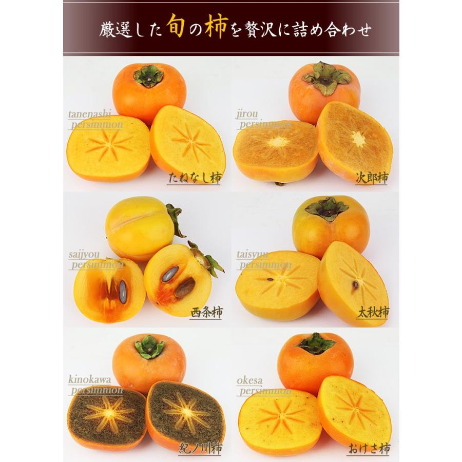 国産 美味 柿 5〜7種 食べ比べ ギフトセット (和歌山産 鳥取産など)柿 かき フルーツ くだもの 果物 敬老の日 お彼岸 七五三 ハロウィン お歳暮 :kakiset5-7:愛の果実 - 通販 - Yahoo!ショッピング 国産 美味 柿 5〜7種 食べ比べ ギフトセット (和歌山産 鳥取産など)柿 かき フルーツ くだもの 果物 敬老の日 お彼岸 七五三 ハロウィン お歳暮 :kakiset5-7:愛の果実 - 通販 - Yahoo!ショッピング