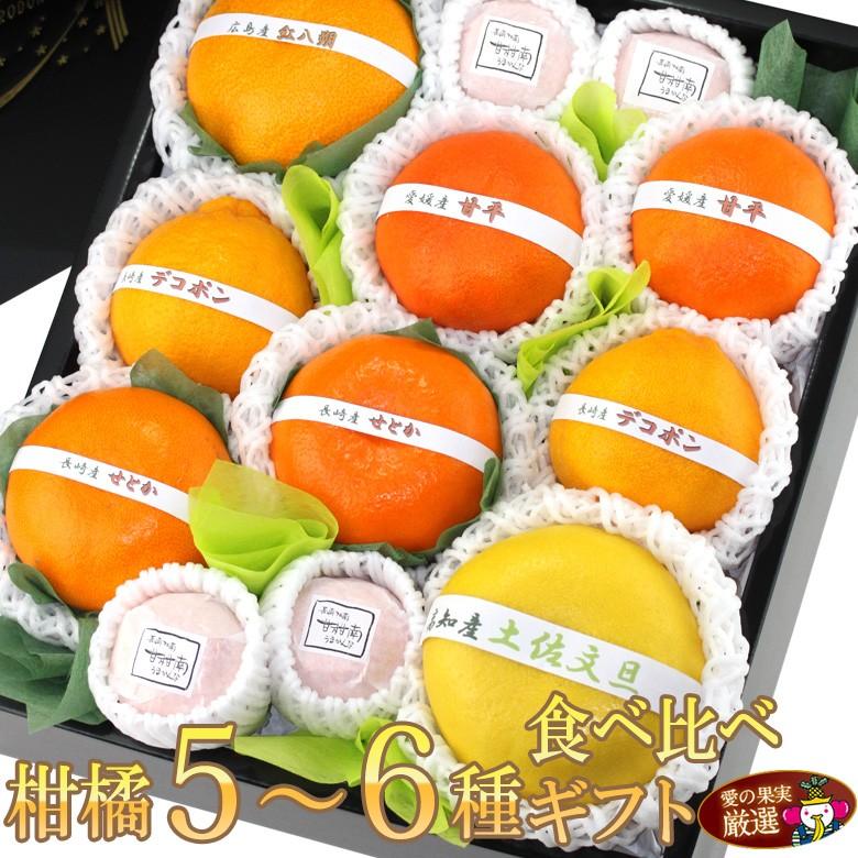 フルーツ ギフト ホワイトデー お彼岸 進学 お雛様【柑橘 5〜6種 食べ比べギフトセット(9〜12個入) 】柑橘 みかん くだもの 果物 誕生日 内祝 お祝