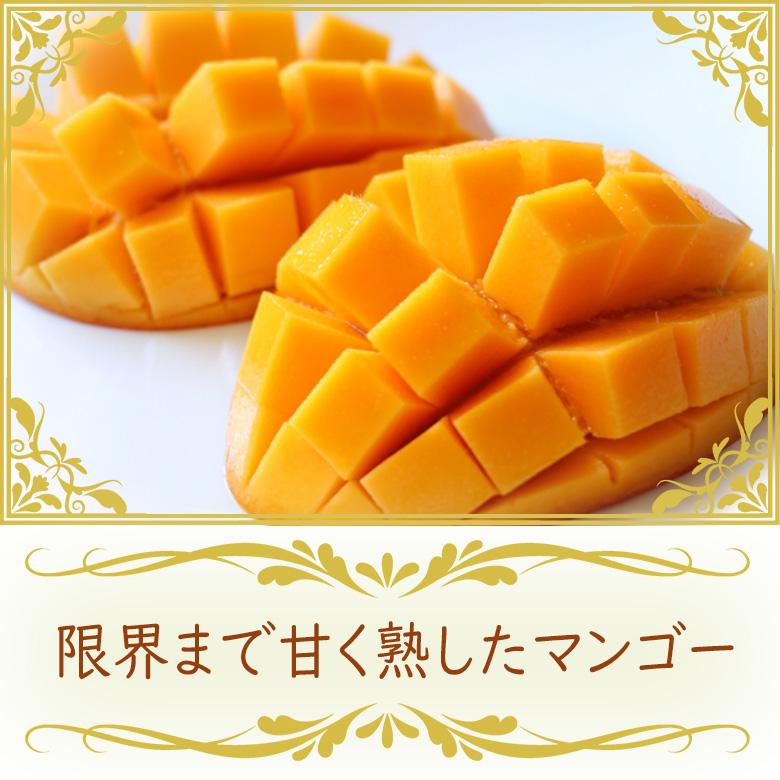 フルーツ ギフト 夏ギフト お中元 父の日 子供の日 マンゴー くだもの 果物 お誕生日 お祝い 内祝い お礼 お見舞い お供え 法事 法要【宮崎 マンゴー 4L 2玉】_1
