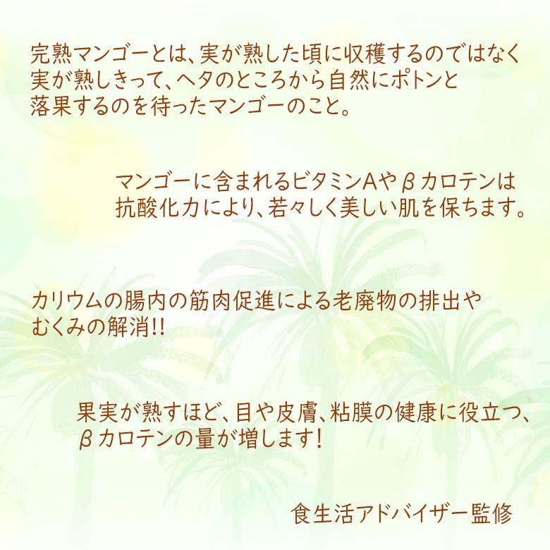 フルーツ ギフト 夏ギフト お中元 父の日 子供の日 マンゴー くだもの 果物 お誕生日 お祝い 内祝い お礼 お見舞い お供え 法事 法要【宮崎 マンゴー 4L 2玉】_2