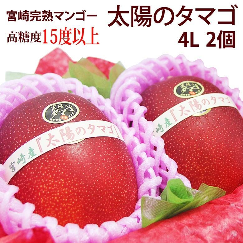 宮崎産 完熟マンゴー(太陽のタマゴ)(4L 2個入り 糖度15度以上 