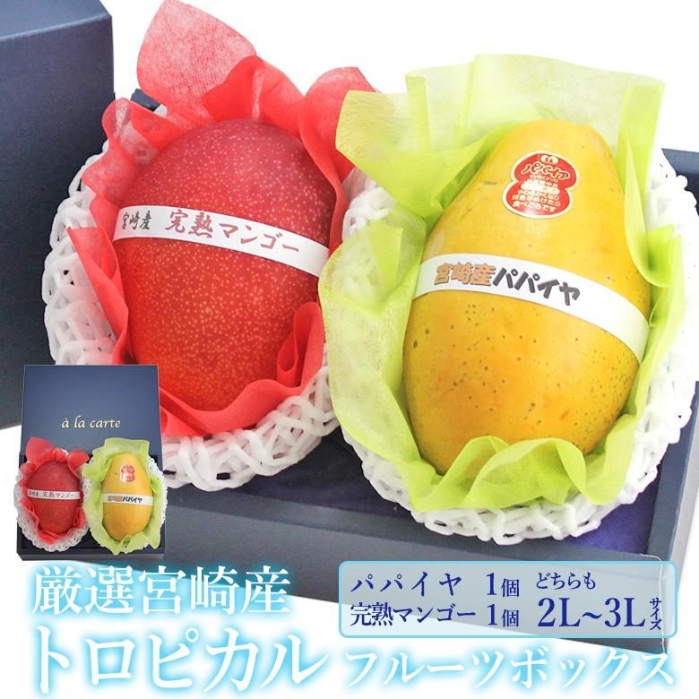 フルーツ ギフト 母の日 父の日 誕生日【厳選 国産 トロピカル