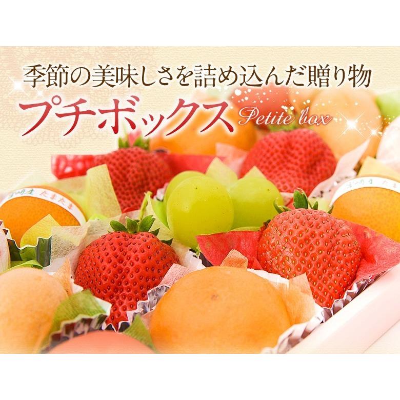 フルーツ ギフト 母の日 父の日 くだもの 果物 内祝 お祝い お供え 内祝い 誕生日 お供え 法事 お礼 お見舞い 出産内祝い【プチボックス 20個入り】 |  | 01