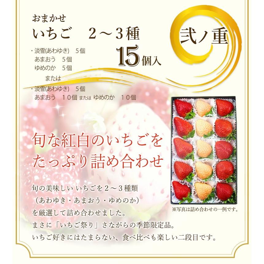 【プチ重箱プレミアム】 FPJ-5(プチフルーツ15個・いちご2〜3種・15個)イチゴ 苺 フルーツ くだもの 果物｜aino-kajitu｜04