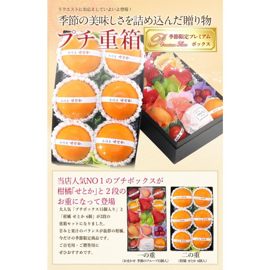 フルーツ ギフト 柑橘 せとか くだもの 果物 内祝い お祝い 誕生日 お供え 法事 お供え 出産内祝い 快気祝い お見舞い お礼【プチ重箱プレミアム せとか】 |  | 01
