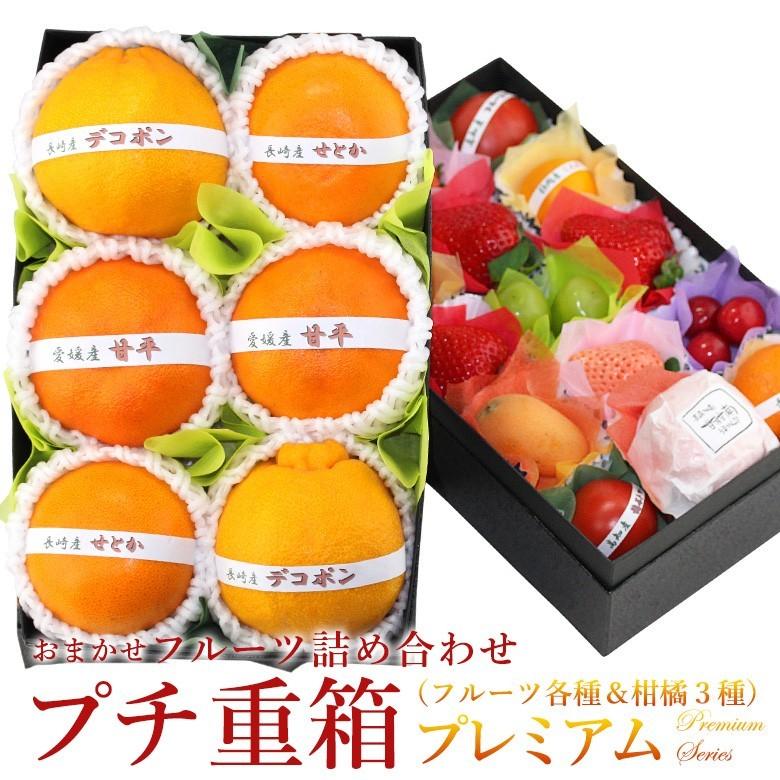 フルーツ ギフト 柑橘 くだもの 果物 内祝 お祝い 誕生日 お供え 法事 御供 お礼 出産内祝 お見舞い 可愛い【プチ重箱プレミアム 旬の柑橘3種 】 | 