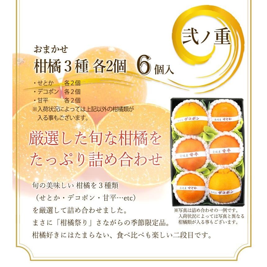 フルーツ ギフト 柑橘 くだもの 果物 内祝 お祝い 誕生日 お供え 法事 御供 お礼 出産内祝 お見舞い 可愛い【プチ重箱プレミアム 旬の柑橘3種 】 |  | 03