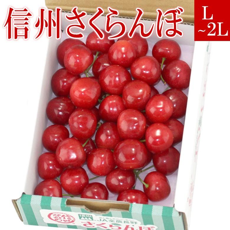 フルーツ ギフト サクランボ 父の日 くだもの 果物 お祝い お見舞い お礼 お供え 佐藤錦 紅秀峰 香夏錦【信州さくらんぼ バラ 長野産 L〜2L 約300ｇ】