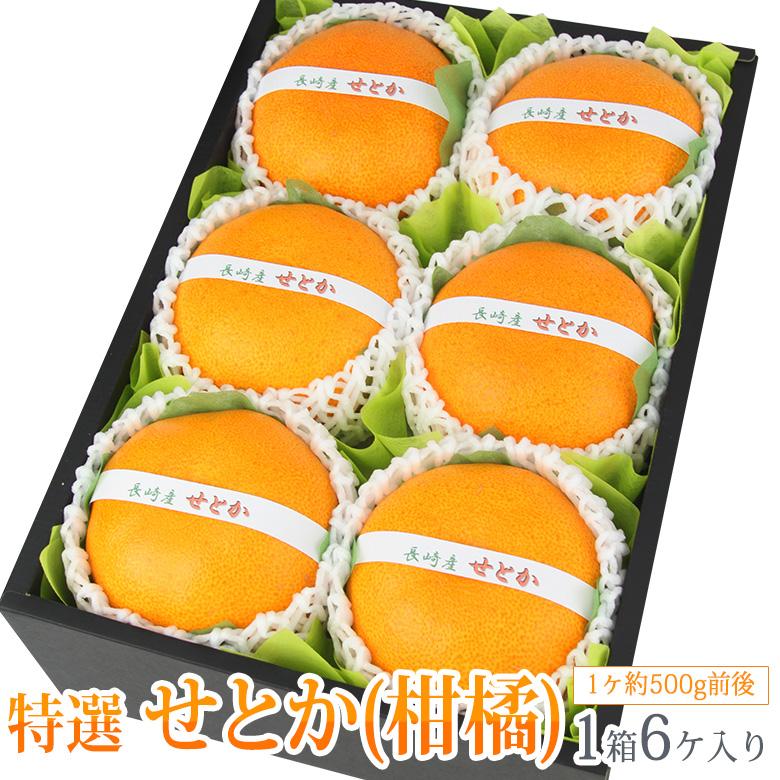 フルーツ ギフト【せとか(長崎産 佐賀産)6L 6個入】みかん 蜜柑 フルーツ ギフト【せとか(長崎産 佐賀産)6L 6個入】みかん 蜜柑