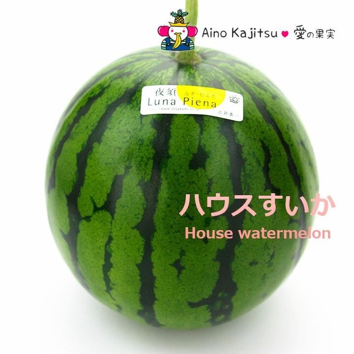 夜須の ハウス すいか(西瓜)(ルナ ピエナ)中玉 【高知産】冬 夜須の ハウス すいか(西瓜)(ルナ ピエナ)中玉 【高知産】冬