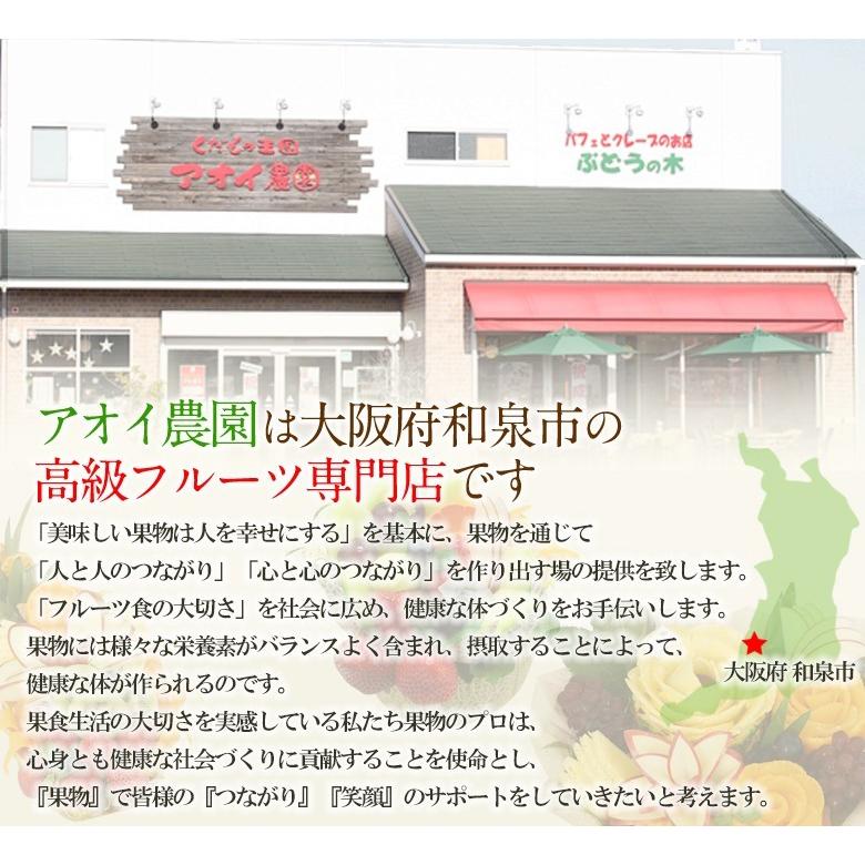 お供え 告別式 お葬式 果物 盛りカゴ フルーツ 詰め合わせ クラウンメロン お盆 盛り合わせ お悔やみ 法事 法要 くだもの【盛りかご低台座 果物メロン1個】 |  | 06