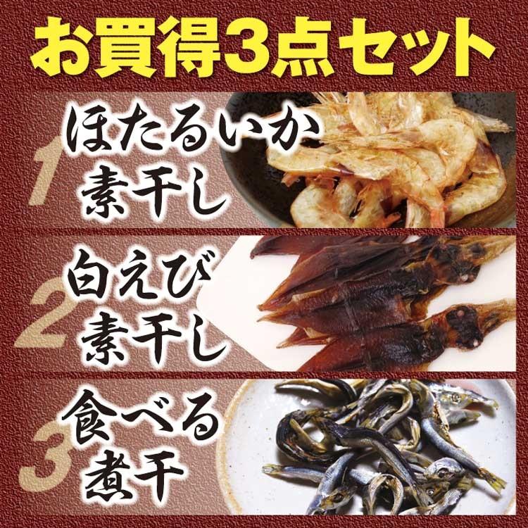 富山 お土産 珍味詰め合わせ 白えび ほたるいか 煮干し 富山産 珍味 酒
