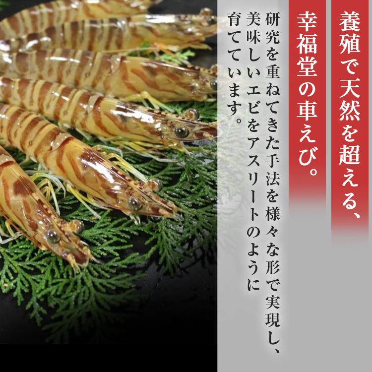 活きて届く驚き 踊り食いをご家庭で楽しめる幸福堂の活き車えび 海老王 です 大きめで元気なえびを厳選した 海老王 は寿司店や料亭でもお使いいただいている商品です プリプリに身のしまったえびを食べると 旨みと甘みが口いっぱいに広がり