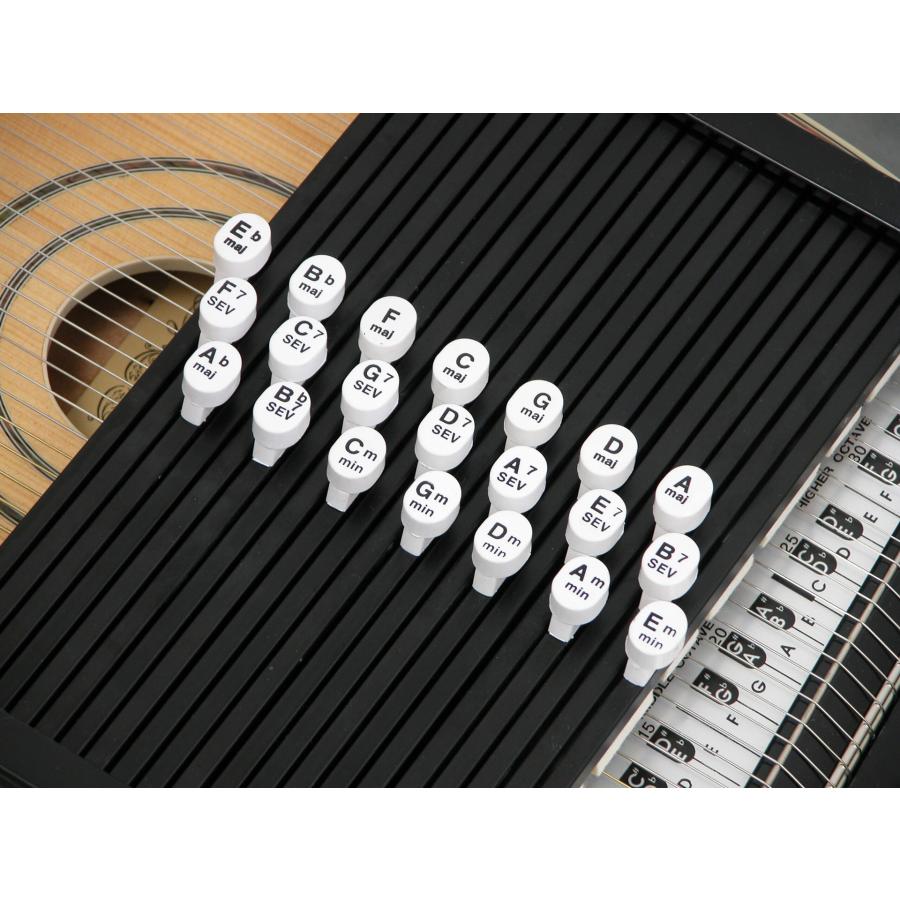 教則DVD付]ARIA ACH-210S アリアコードハープ/オートハープ : さくら山