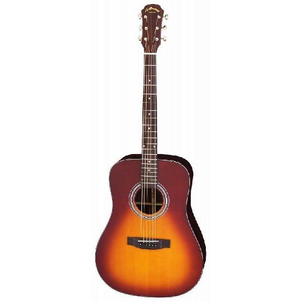 安くて可愛い人気 Aria Ad 215 Ts トップ単板 アコースティックギター ケース付 の定番 Officenterchile Com