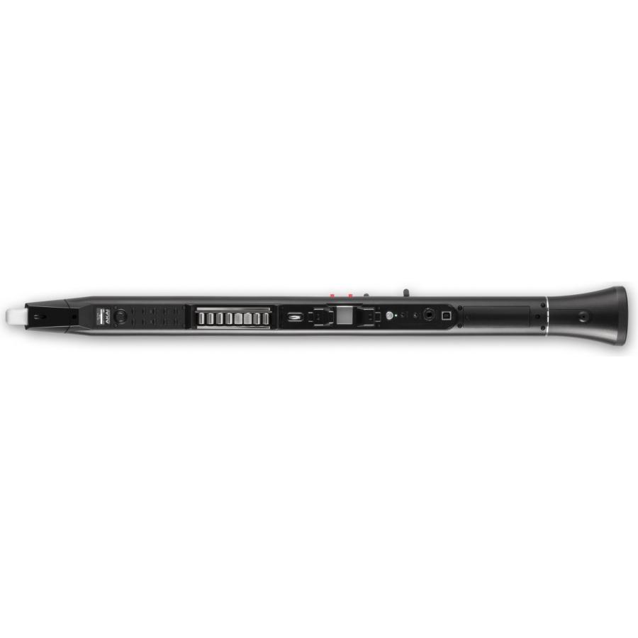 AKAI professional AKAI Professional EWI SOLO スピーカー内蔵
