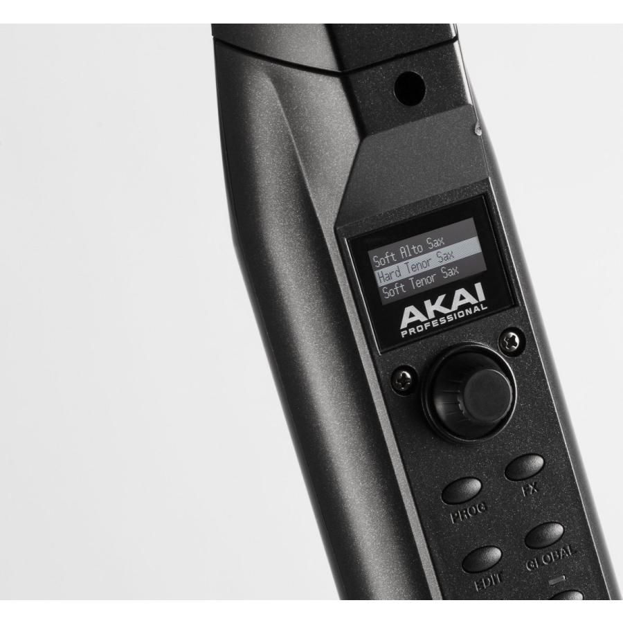 AKAI professional AKAI Professional EWI SOLO スピーカー内蔵