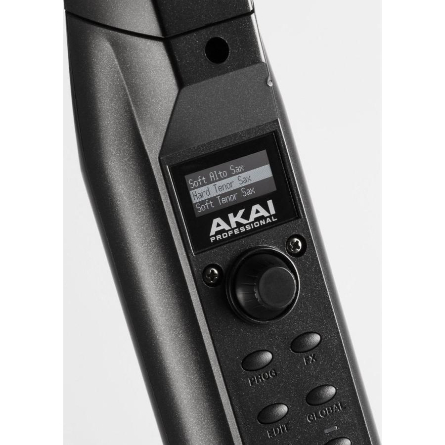 AKAI Professional EWI SOLO/スタンド/WSS-100付 スピーカー内蔵 ウインド・シンセサイザー｜aion｜05