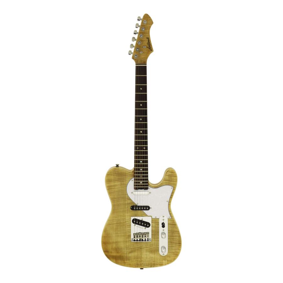 Aria ProII 615-AE200 YG(Yellow Gold) エレキギター/ギグバッグ付