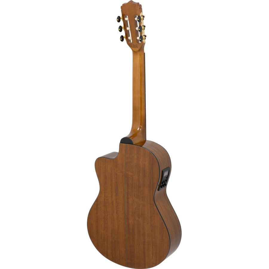 ARIA（アリア） Aria A-35SCE/ケース+スペア弦+クロス付 ピックアップ