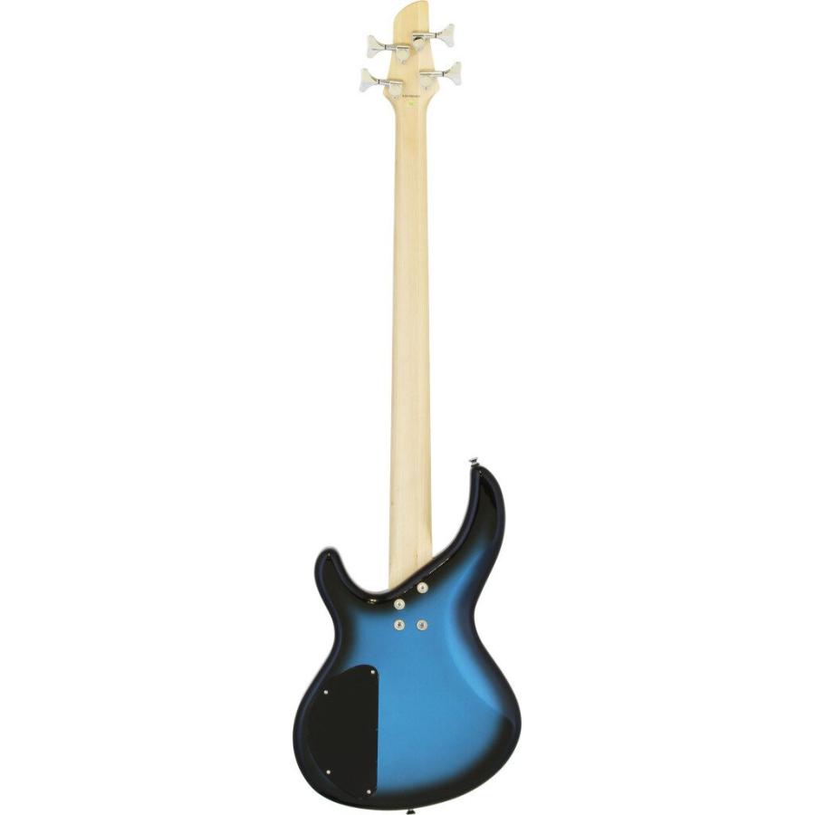 Aria ProII IGB-STD MBS(Metallic Blue Shade) ベース/ケース付