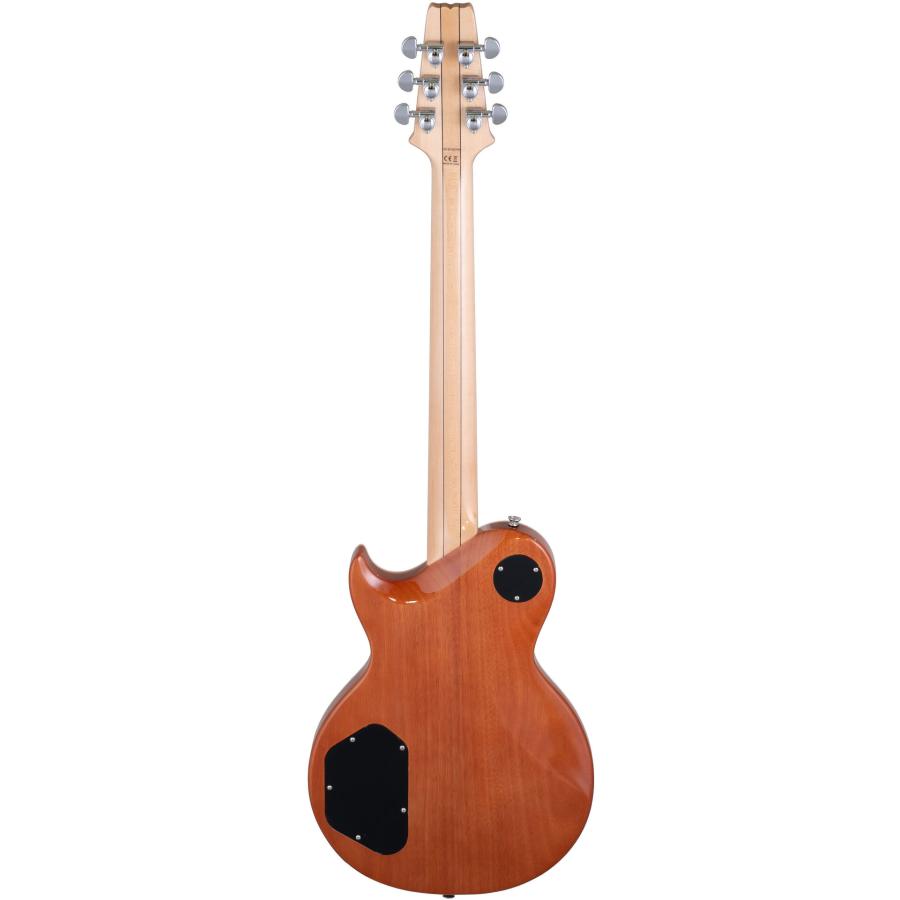 Aria Proll ProII PE-700 SBL(See-through Blue) フレイムメイプル