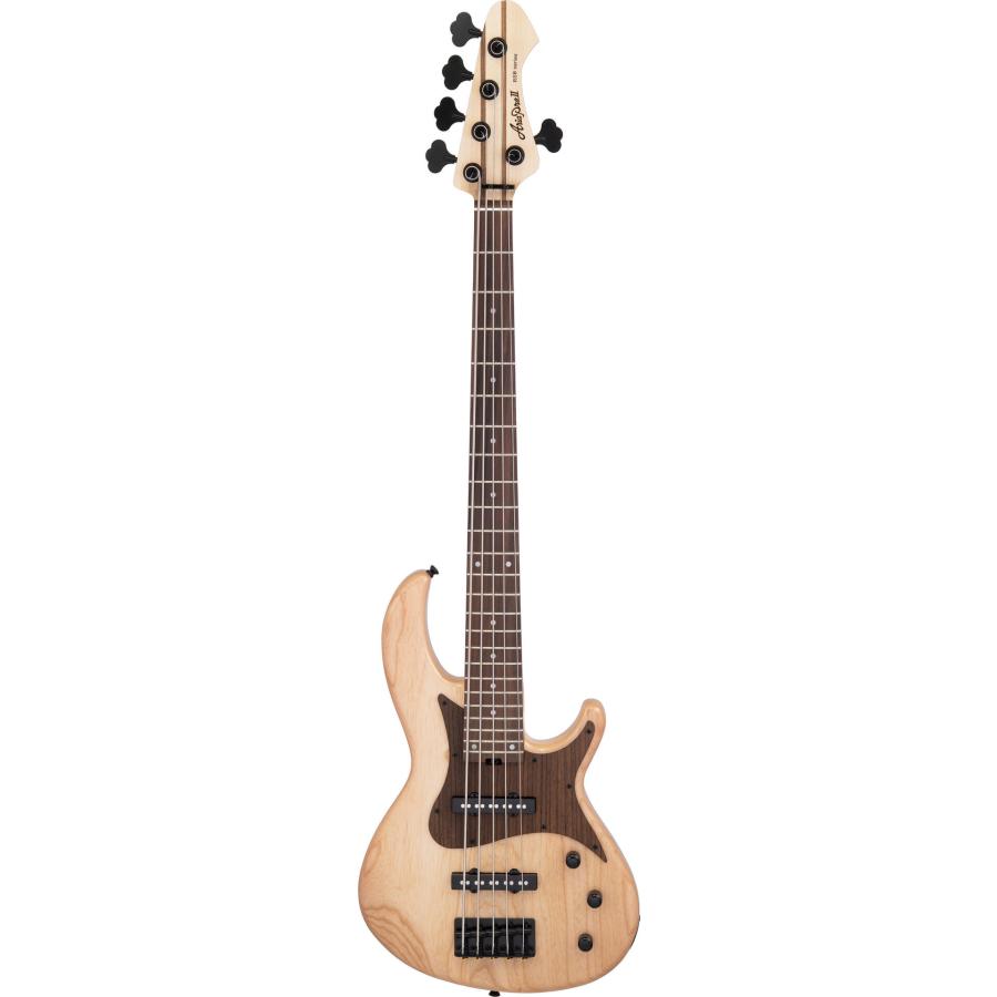 Aria Proll ProII RSB-700WP/5 N (Natural) 5弦ベース/ケース付